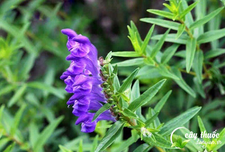 luu-y-khi-su-dung-ban-chi-lien